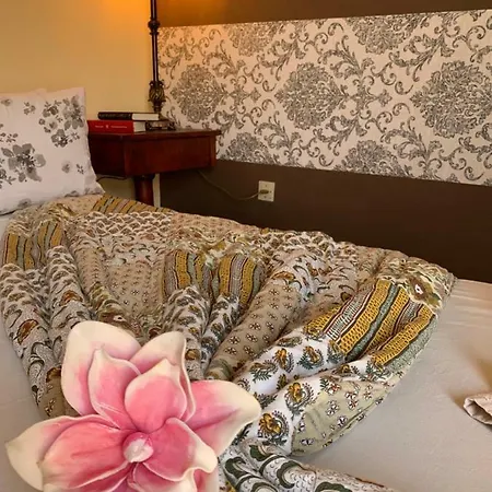 Dream Appartement Santa-Cruz de Ténérife