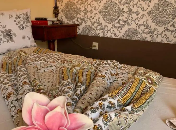 Dream Apartman Santa Cruz de Tenerife